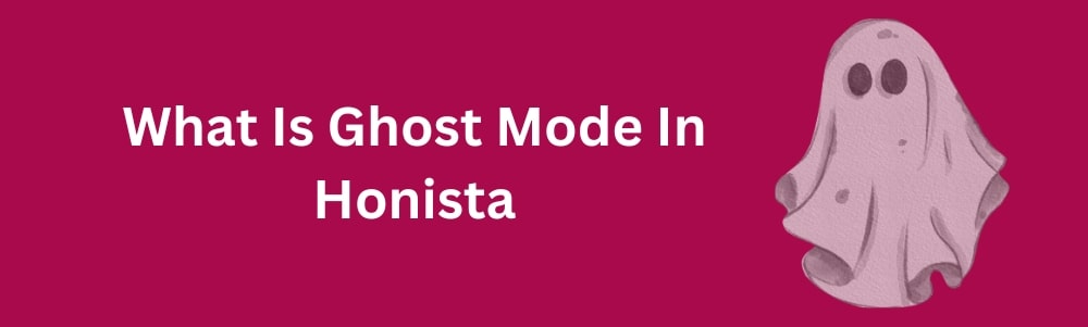 what is ghost mode in honista